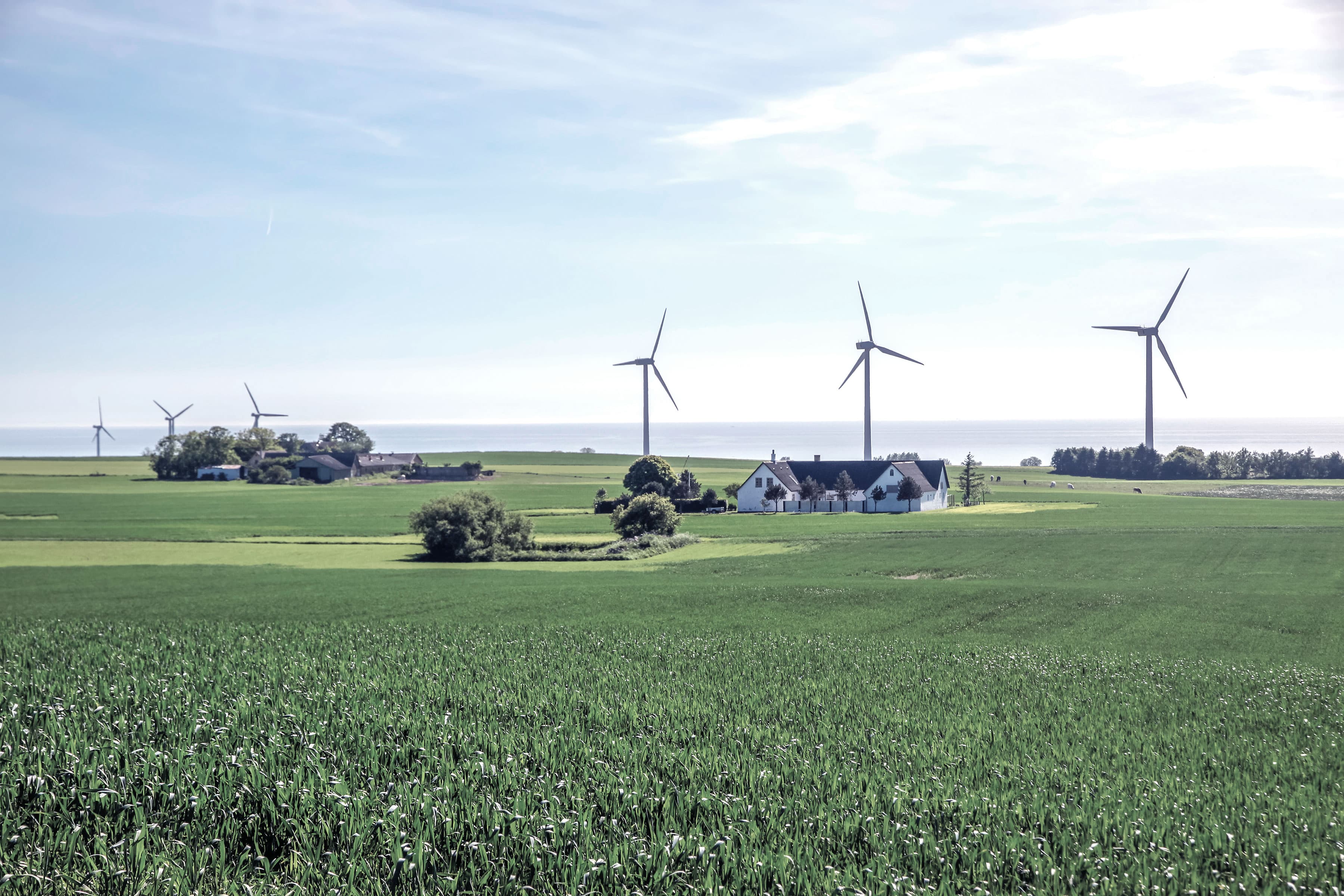 Landbrugsejendom med grønne marker, som ligger tæt på vindmøller og hav