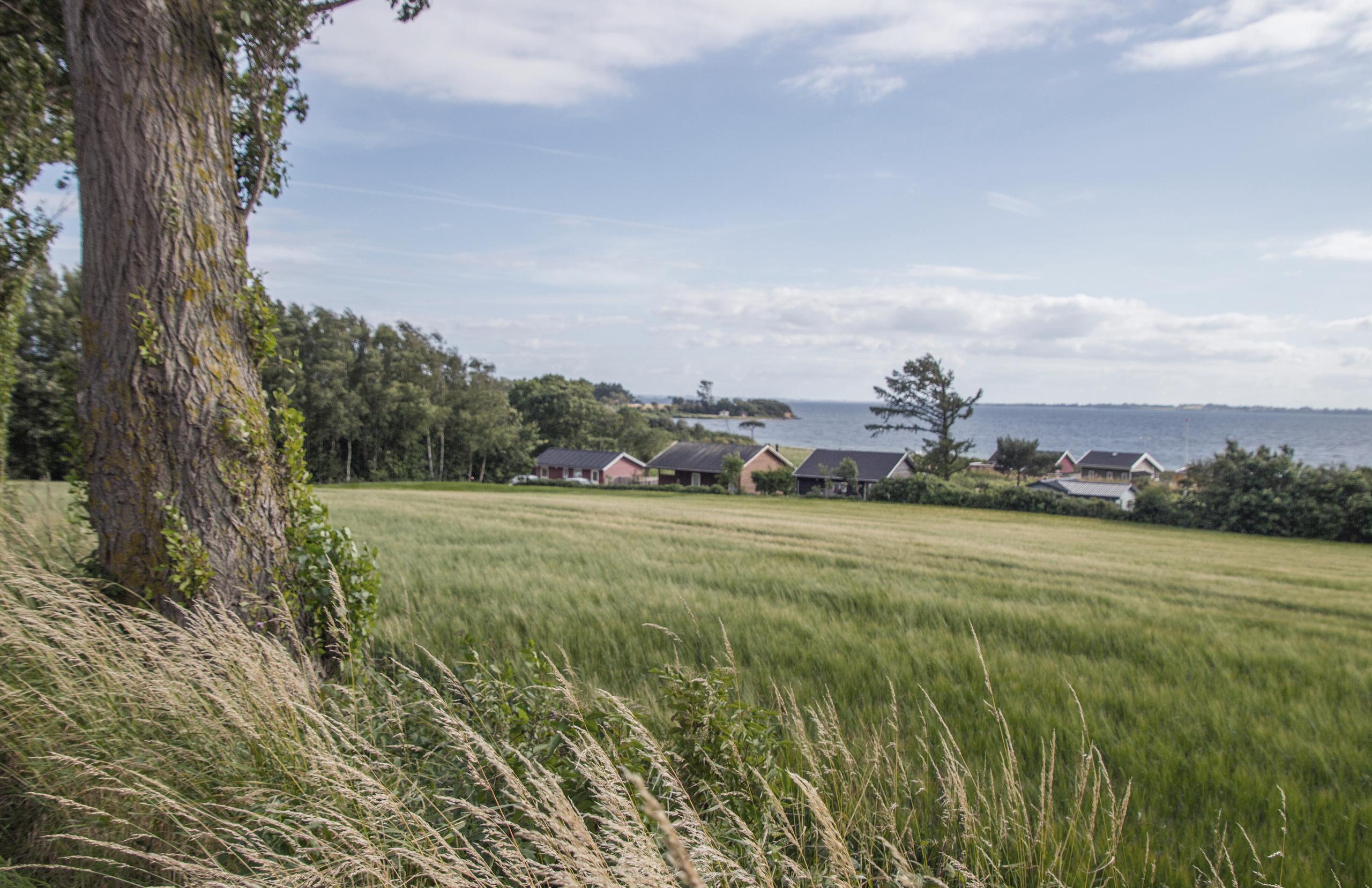 græsmark med udsigt til vand